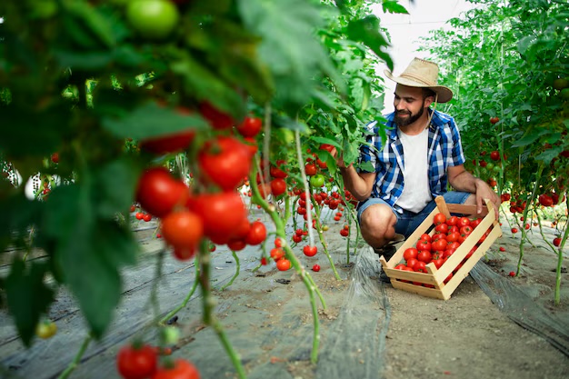 Kent  Agriculture courses