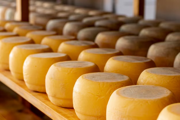 Cumbria  Cheese Making courses