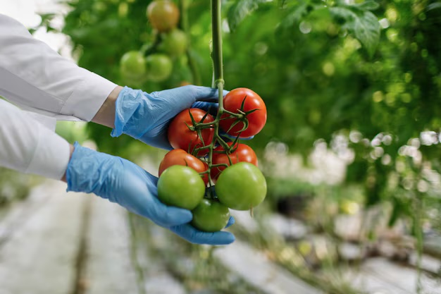 Surrey  Food Hygiene courses